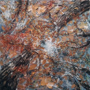 Into the Woods (100x100) (Feb 2023)